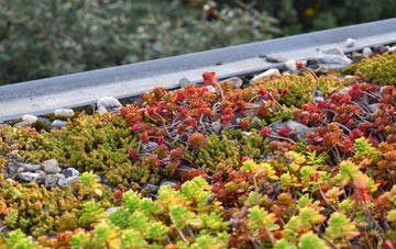 the cost of East Goscote green roof installation