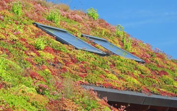 East Goscote living roof systems